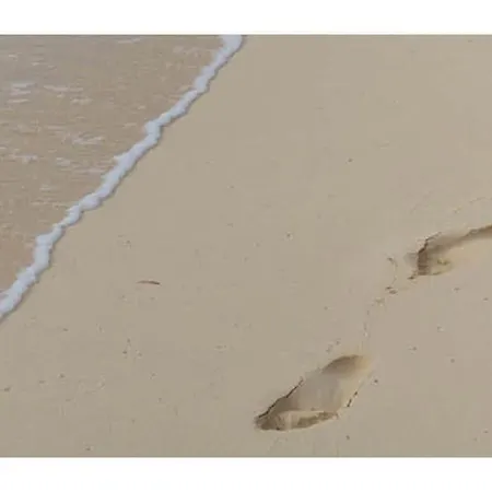 Casa vacanze Juchmann Modern Retreat *